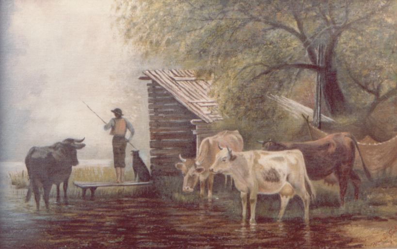 Refugio en la Niebla